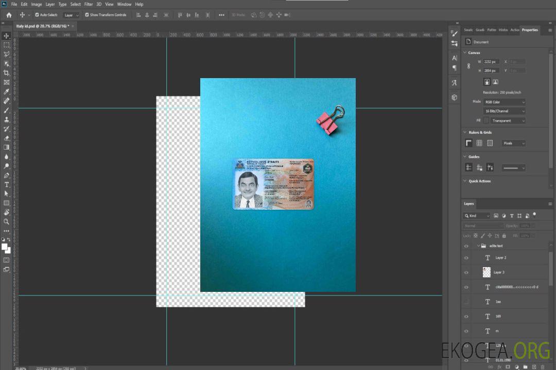 Photolook d'identité d'Haïti AVANT template
